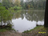 Vilémovský rybník u Šluknova