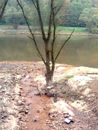 ústí Suché Kamenice do Labe