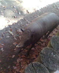 Zoo Děčín