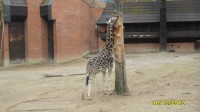 Zoo Liberec