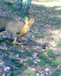 Zoo Děčín