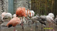 Zoo Liberec