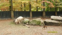 Zoo Liberec