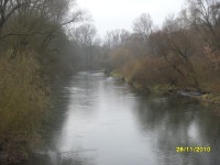 řeka Morava u Střeně