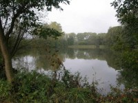 Bohuslavické rybníky