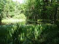 Grandlový rybník