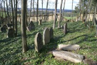Židovský hřbitov u Prostiboře