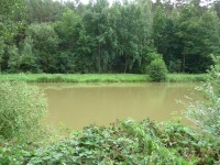 rybník při NS Cvilín