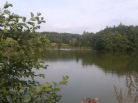 rybník Sychrov 3
