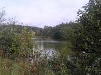 rybník Sychrov 2