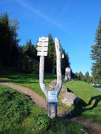 Modrava - Modravský potok - Černohorská nádrž - Filipova huť - Pechler - Antýgl - Rokyta - Staré Srní - Srní