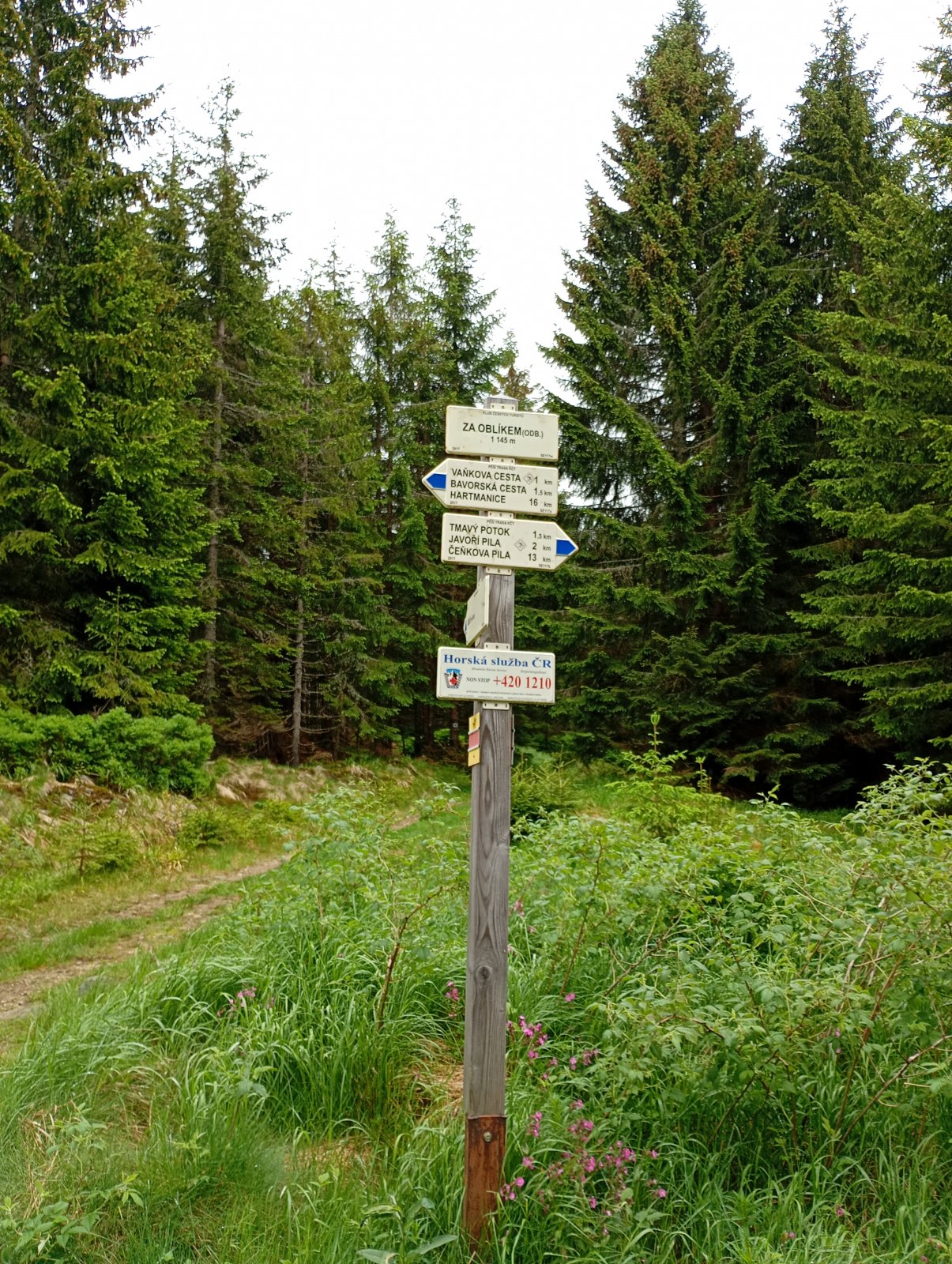 Oblík - Bavorská cesta - vyhlídka Velký Bor