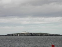 Výlet lodí na ostrovy Farne