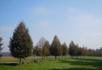Veltrusy - v parku