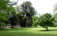 Vlašim - zámecký park