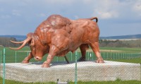 socha býka