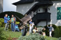 Hohenwerfen, představení sokolníků