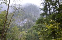 soutěska Lammerklamm, výhled na stráň