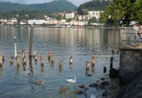 Pohled na Gmunden a Traunsee