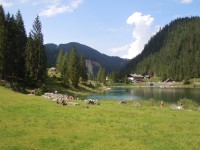 Gosausee