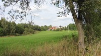 Kvasetice, pohled z cesty od Michalovic, vlevo lesík, kde je hrobka