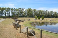 Metaponto - kolem archeologického muzea