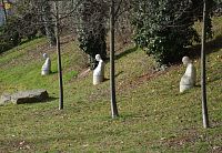 Tři sochy Madon před hřbitovní zdí