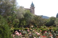 pohled z klášterní zahrady