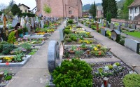 vzorně upravený hřbitov