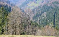 Schwarzwald - zajímavosti