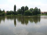 Telč a místní rybníky