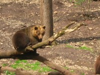 Zvířatům skoro na dosah  - Zoopark Chomutov