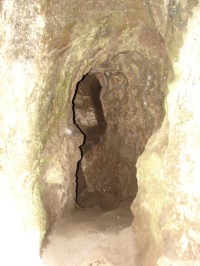 V Barrandově jeskyni