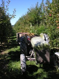 A ještě jednou traktor mezi stromy