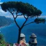 fotka uživatele pinia_aw