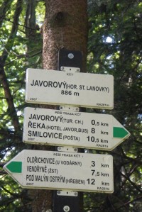 Javorový lanovka