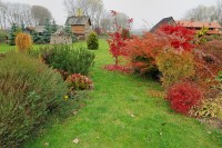 zahrada - podzim