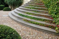 zátiší se schodištěm