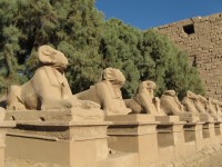 Alej posvátných beranů, Karnak