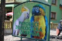 Papouščí Zoologická zahrada