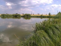 Pohled na rybník 1