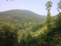 Pohled od rozcestníku na Jánský vrch