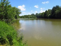 Skokanovský rybník