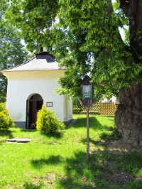 Kaple a památný strom v Bořeticích