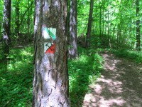 14 Cesta po NS Svatojanský okruh