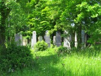 12 Na židovském hřbitově