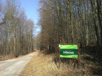 Systém lesních cest Školního a lesního podniku Křtiny