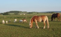 Cyklisté vítáni - Jáňův dvůr - výletní hospůdka