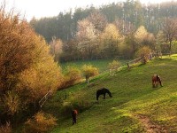 Cyklisté vítáni - Městské informační a turistické středisko Zlín