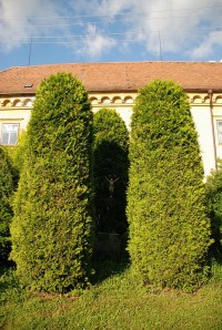 Cyklisté vítáni - Rekreační centrum Palánek